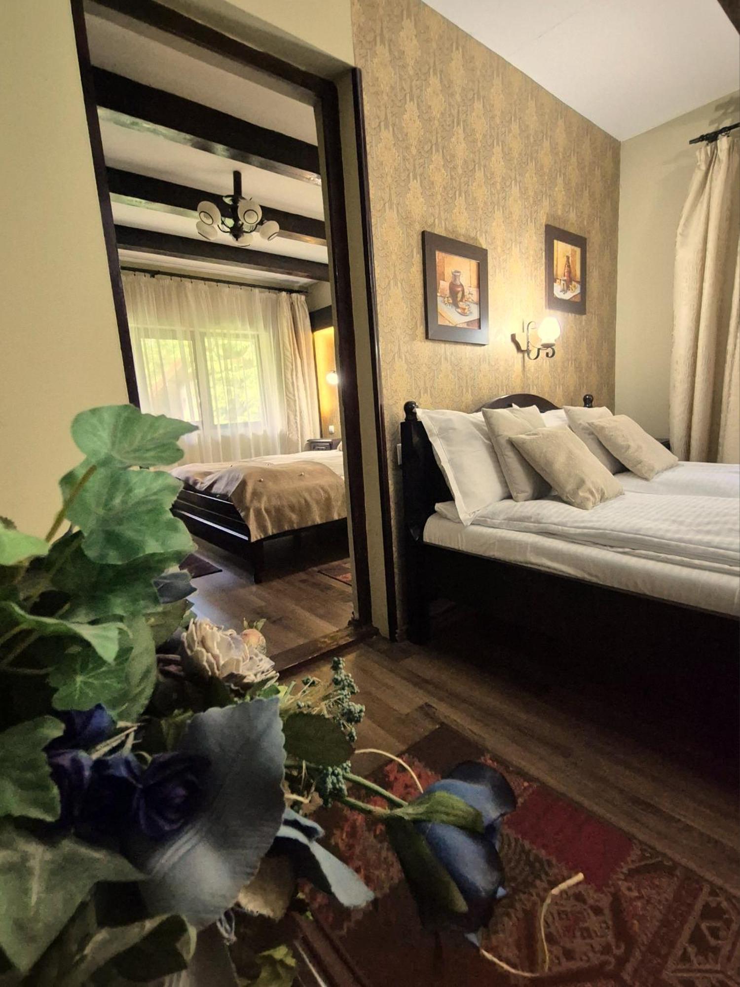 Pensiunea Dumbravita Hotel ริวเดมอรี ภายนอก รูปภาพ